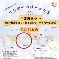 【正規品】うちの子のけだまだま　丸たれみみ×2【他の種類あり・バラ可】