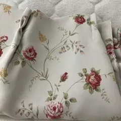 Item thumbnail for item 09226e3d-55b1-49f3-b7ad-391385fd3c9f