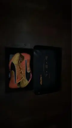 PUMA Evo speed nitro エヴォスピードトウキョウニトロ