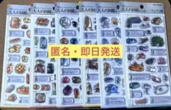 3Dビジュアルコレクション 大人の図鑑シール　コンプリートセット　6種