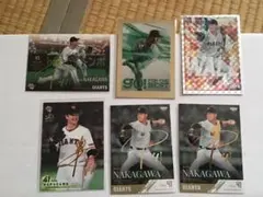 Item thumbnail for item 3a21b8ce-55aa-4b0d-95a7-11000c0ffcea