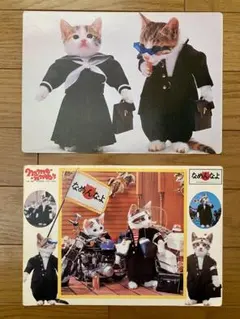 2025年最新】なめ猫 クリアファイルの人気アイテム - メルカリ