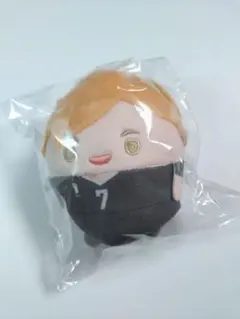 ハイキュー　ぬいくじ　D賞ふわコロりん　宮侑