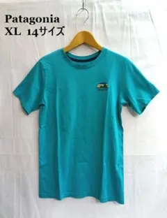 Patagonia /パタゴニア ◎半袖Tシャツ　XL　14サイズ