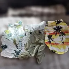 ◆犬服3着セット