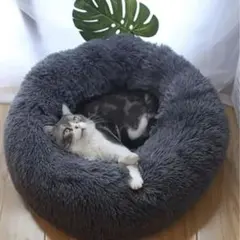 Item thumbnail for item 38d6003b-f929-44cb-bef8-acdd1c009a6e