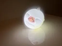 ユニバ　テレサ　キーホルダーのサムネイル