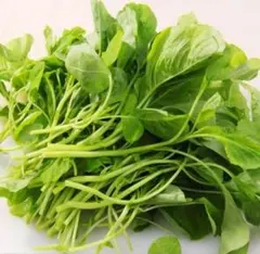 ハッピー様 リクエスト 10点 まとめ商品