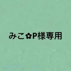 みこ✿P様専用