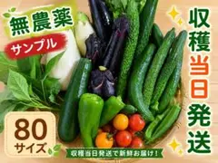 夏野菜セット　80サイズ　農薬不使用のサムネイル