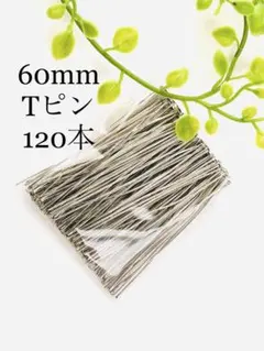 Item thumbnail for item 5001ba83-3561-4a57-97ac-2dd33f0ecde5