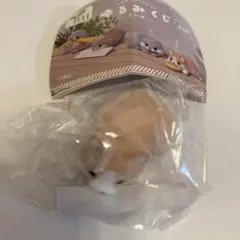 ゆるみくじ こいぬ コーギー