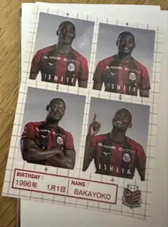 Item thumbnail for item 45bdebfc-a360-47db-ab9b-5f2e7e87f769