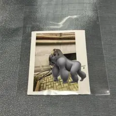 JUST B ジャスビー　直筆サイン入りCD Just B Album | eBay
