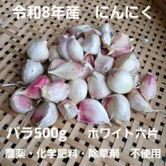 ⭐無農薬⭐令和8年度産にんにくバラ約500g　　ホワイト六片　宮城県のサムネイル