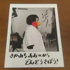 2026年最新】つばくろう カレンダーの人気アイテム - メルカリ