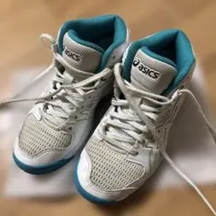 Item thumbnail for item ac6f2485-fd9f-4ca0-b804-1f467ac2e10a