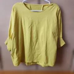 Item thumbnail for item ee9eb646-a9b3-4f41-a541-a50a4b2e071c