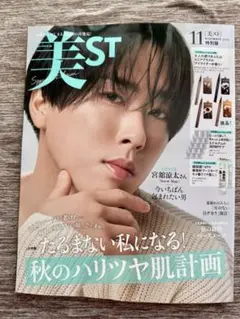 美ST 11月号 特別版　新品・未読