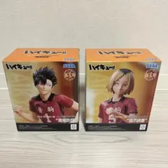 ハイキュー!! 黒尾鉄朗 孤爪研磨 フィギュア 2体セット