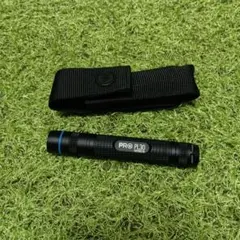 발터 PL30 LED 플래시 펜 라이트 (케이스 포함)
