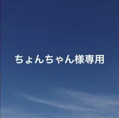 ちょんちゃん様 リクエスト 7点 まとめ商品