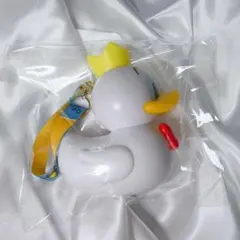 東京ディズニーランド TDL ミニスナックケース パルパルーザ ドナルド