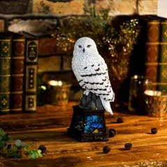 【新品】ヘドウィグ オルゴール Hogwarts Night Harry Potter Hedwig Statue Figure Music Box Hogwarts Night | eBay