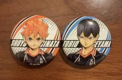 ハイキュー コレクション缶バッジ ぷっくり缶バッジ 日向翔陽 影山飛雄