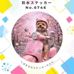 Item thumbnail for item 4144c1d5-e056-4df4-b7ba-9eb87afa4866