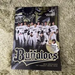 オリックスバファローズ ガイドブック 応援グッズ