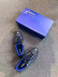 Item thumbnail for item 457129ce-1f2f-4541-84c9-8f9ba0aa8f15