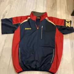 Item thumbnail for item 4d8599d4-24cf-413b-86a8-9771dbd48716