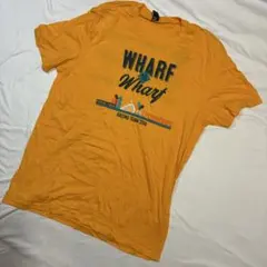 3607 USA古着 District Tシャツ 半袖 黄色 L アメリカ古着