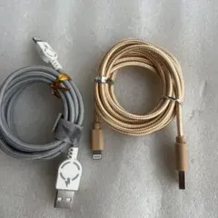 【動作確認済・匿名発送】Lightning USBケーブル 2本セット 1m