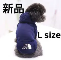 Item thumbnail for item f7fc564a-15ee-430d-bdd0-ab8788e352fb