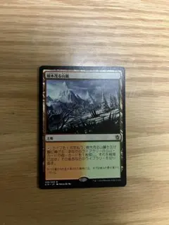 2026年最新】樹木茂る山麓 foilの人気アイテム - メルカリ
