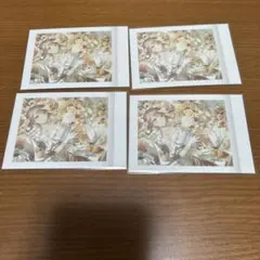 望月穂波 ぱしゃこれ Vol7 Bbox グッズ