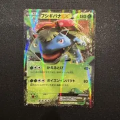 2025年最新】フシギバナex 20thの人気アイテム - メルカリ