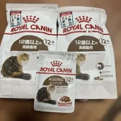 Item thumbnail for item f41e2946-c2a5-423f-b55c-96e6b10d783c