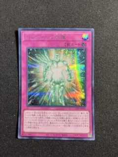 エレメントの加護 シークレット 遊戯王