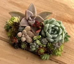 misamisa様 リクエスト 3点 まとめ商品