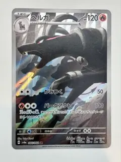 ヘルガー AR SV6a ナイトワンダラー 066/064