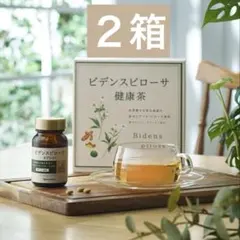 2026年最新】ビデンスピローサ ナリスの人気アイテム - メルカリ