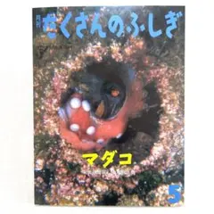 月刊たくさんのふしぎ 2001年5 月号　（第194号）