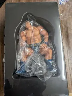 2025年最新】ccp ウルフマンの人気アイテム - メルカリ