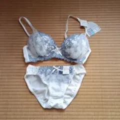 刺繍ブラジャーショーツセット Lサイズバスト86～94　24日迄の価格
