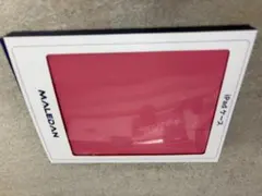 MALEDAN iPad 10世代用ケース レッド