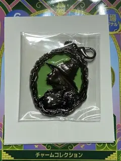 ウィキッド チャームコレクション エルファバ