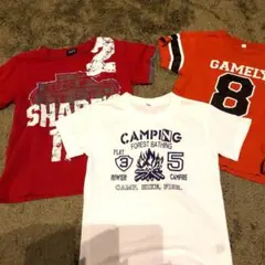 男児Tシャツ 3枚セット